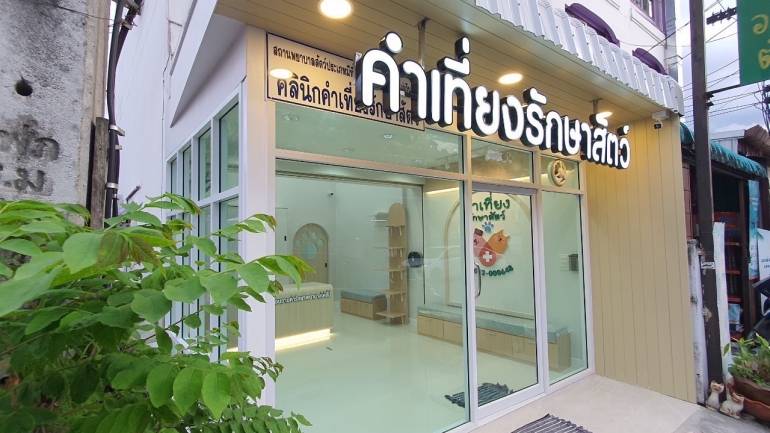 เคลียร์ชัด ! ทำหมันหมาแมวดีไหม ? อันตรายหรือเปล่า ? "คำเที่ยงรักษาสัตว์" ตอบทุกข้อสงสัยแบบหมดเปลือก