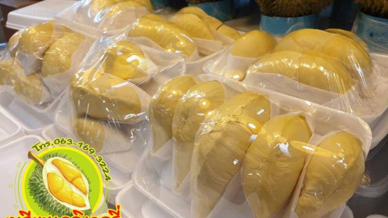 คนรักทุเรียนไม่ควรพลาดเลยกับ ร้าน “ทุเรียนเดลิเวอรี่ by รุ่งกาญจน์ อตก.” ร้านเด็ด เดลิเวอรี่ ส่งจริงไม่จกตา อยากทานทุเรียนฟิน ๆ ร้านนี้เลย