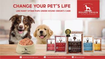 Hound Origin อาหาร BARF แบรนด์เดียวในไทยที่พัฒนาสูตรโดยนักโภชนาการอาหารสุนัข ผ่านการรับรองจากสถาบันชั้นนำใน USA