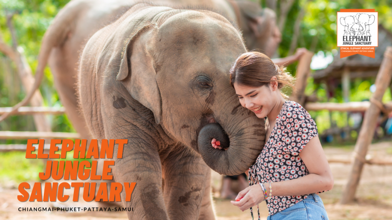 ปางช้างที่ไม่เคยหยุดดูแลช้างและควาญช้าง ในยุคโควิด 19 “Elephant Jungle Sanctuary Phuket”