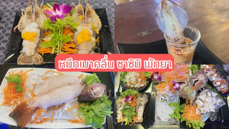 เอาใจคนรักอาหารซาชิมิ กับ "หมึกเมาคลื่น ซาซิมิ พัทยา" จุดแลนด์มาร์กแห่งใหม่ของพัทยา ด้วยการคัดสรรอาหารทะเลสด ใหม่ สะอาด ที่คุณไม่ควรพลาด!